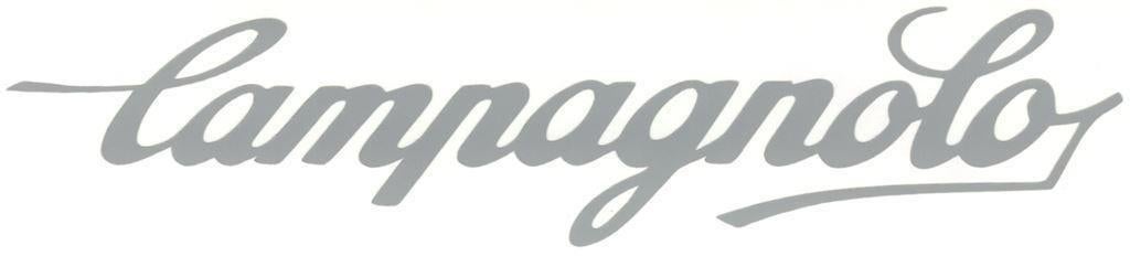 Campagnolo sticker #5, Ophalen of Verzenden