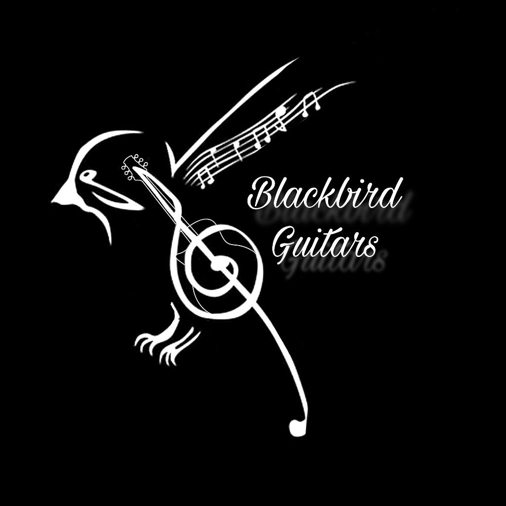 Gitaarles omgeving Oosterwolde (fr), Diensten en Vakmensen, Muziekles en Zangles