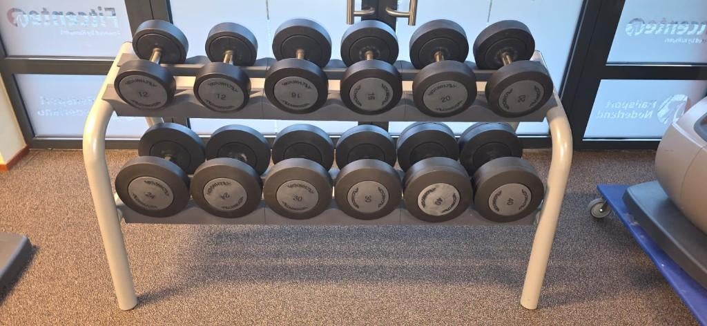 Dumbbell Rack Technogym incl. dumbbells, Ophalen, Zo goed als nieuw, Benen, Dumbbell