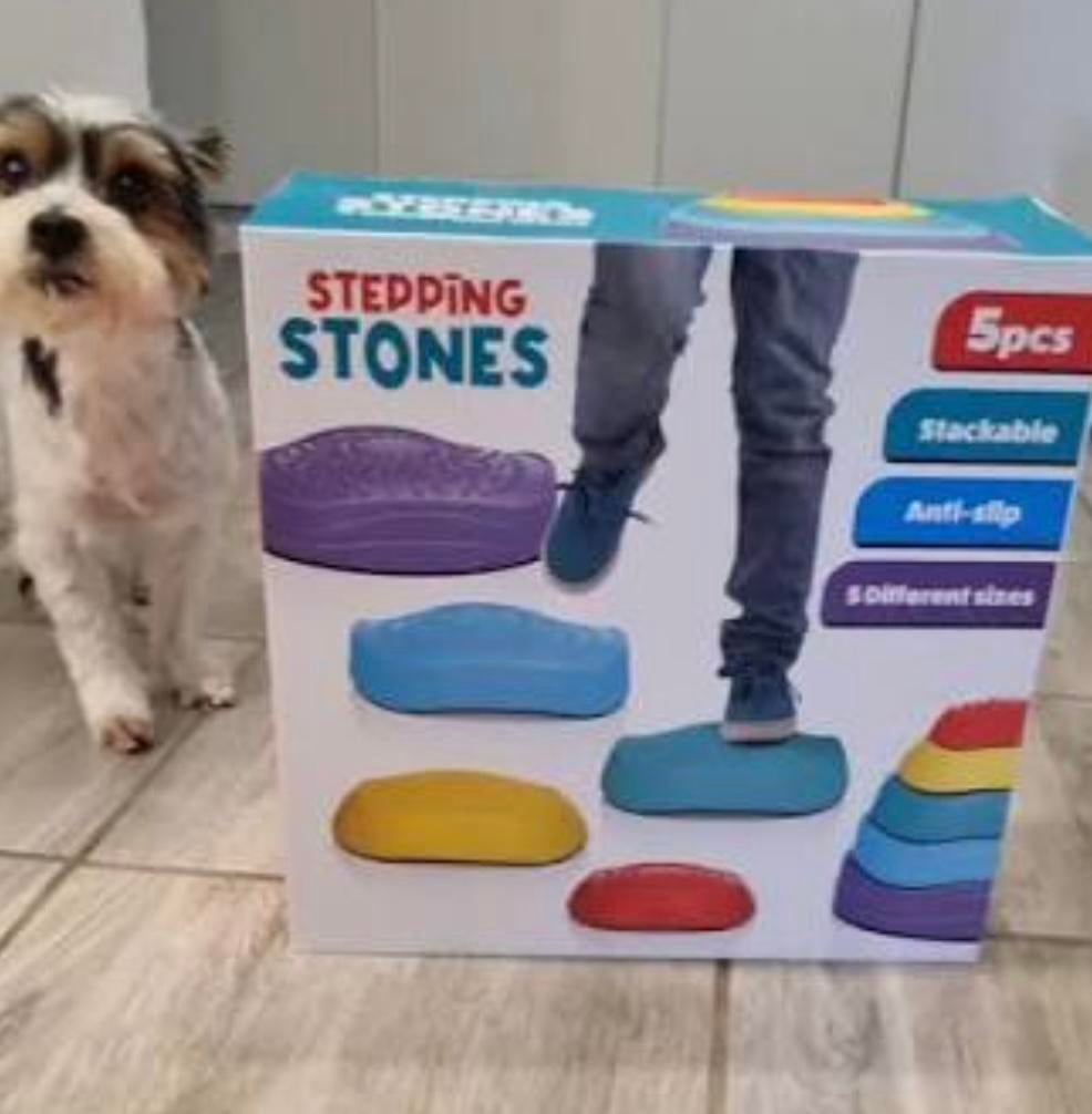 Stepping Stones, Ophalen of Verzenden, Nieuw, Bouwen