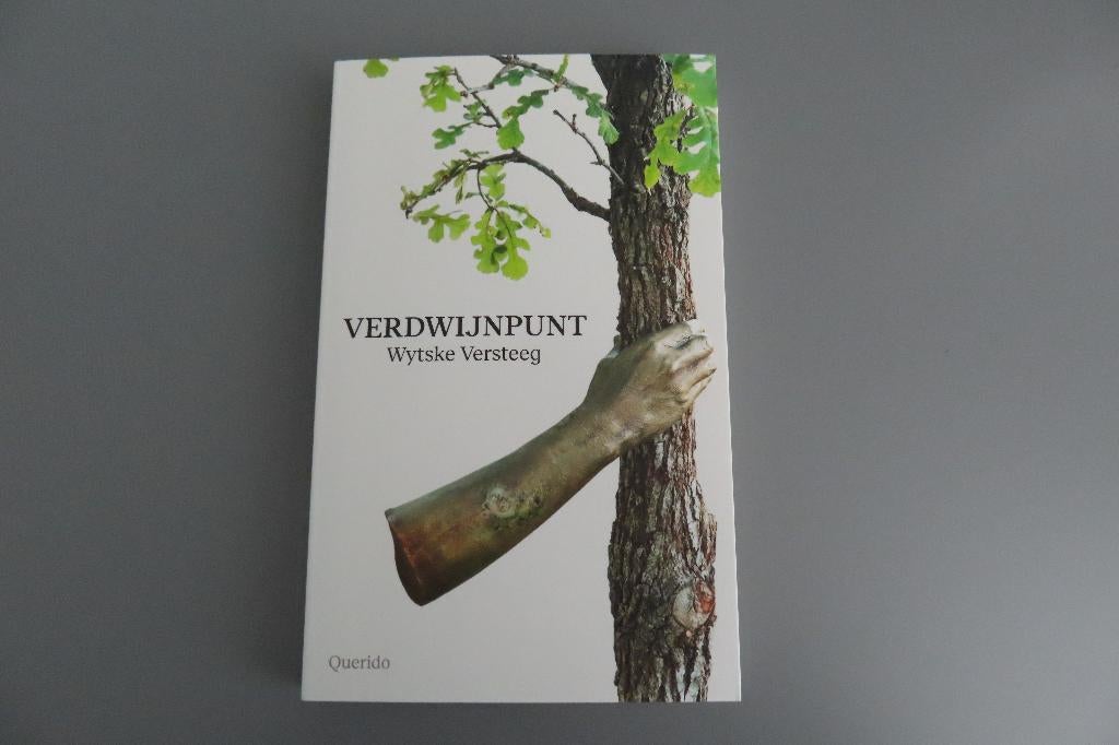 Verdwijnpunt - Wytske Versteeg, Ophalen of Verzenden, Zo goed als nieuw