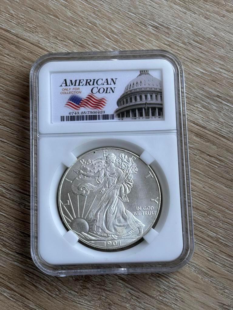 Amerikaanse munt, Ophalen of Verzenden, Midden-Amerika, Losse munt