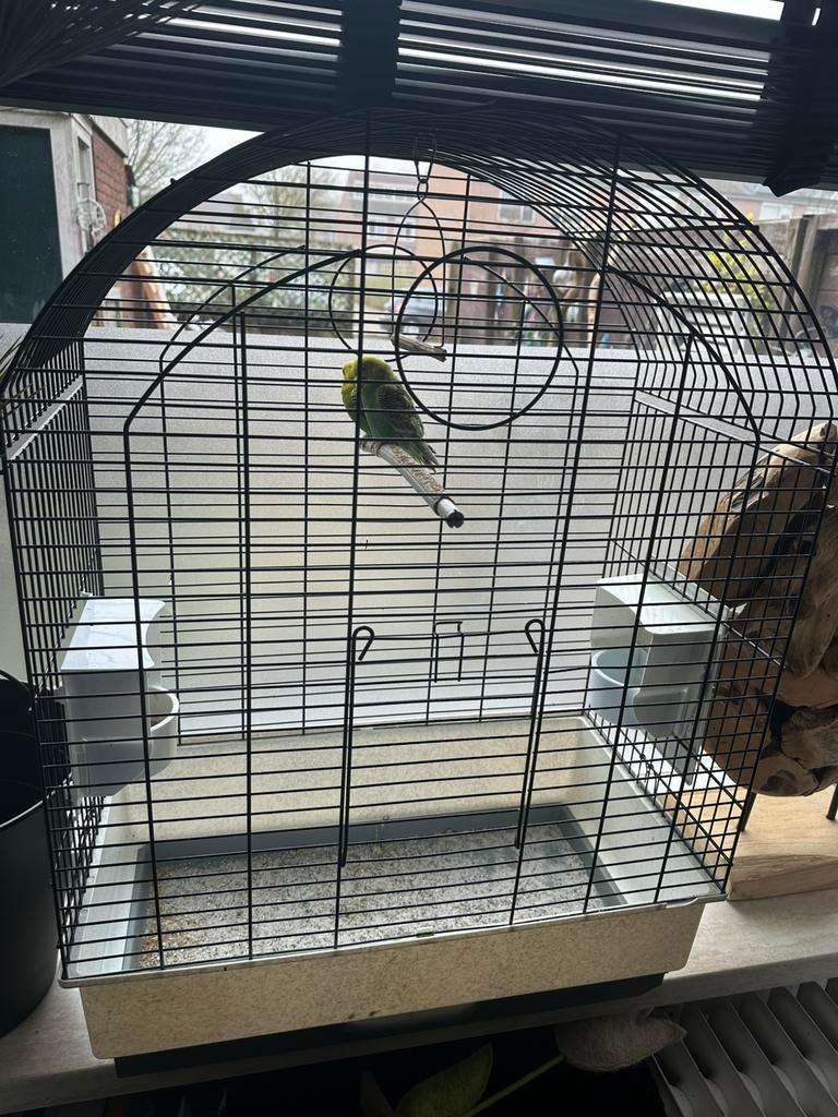 vogeltjes, Ophalen, Zo goed als nieuw, Metaal, Vogelkooi