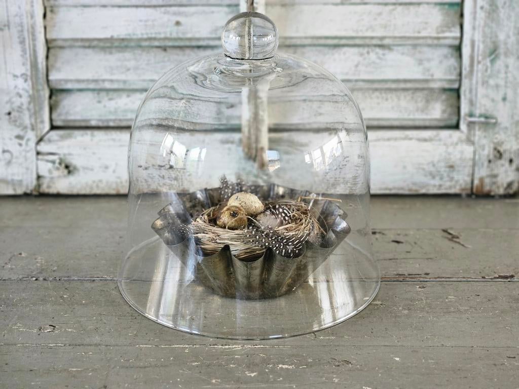 Grote glazen stolp met nestje in brioche bakvorm, Ophalen of Verzenden