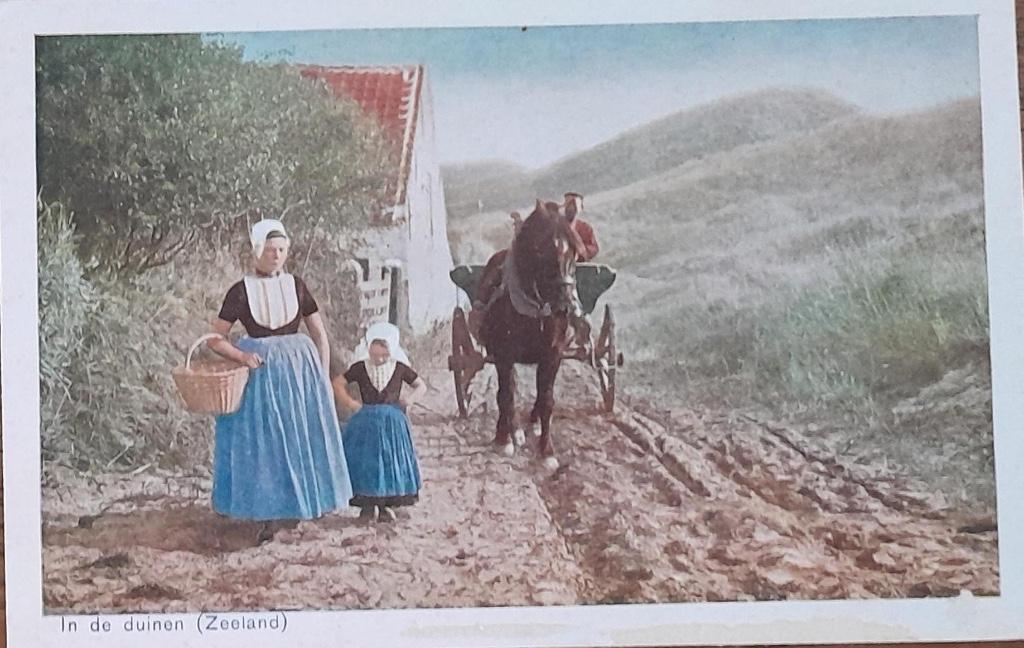 Zeeland- Boer, Boerin, Paard en Wagen, Verzamelen, Verzenden, 1940 tot 1960, Ongelopen, Zeeland