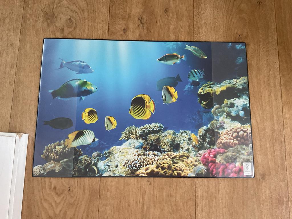Vis placemat - Onderwaterwereld met kleurrijke vissen, Ophalen of Verzenden, Gebruikt