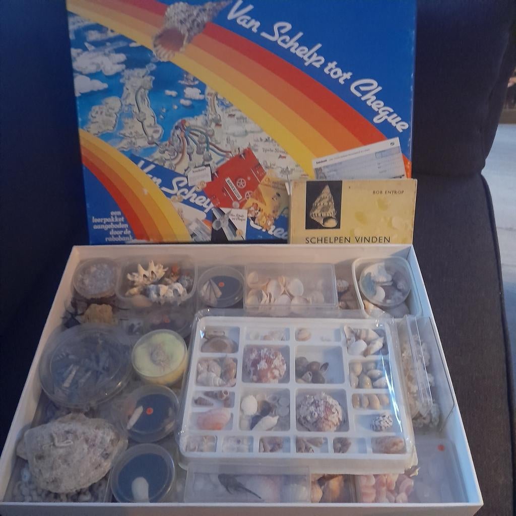 Van schelp tot cheque Rabobank verzameldoos 1 schelpen e.d., Verzamelen, Mineralen en Fossielen, Ophalen of Verzenden, Schelp(en)