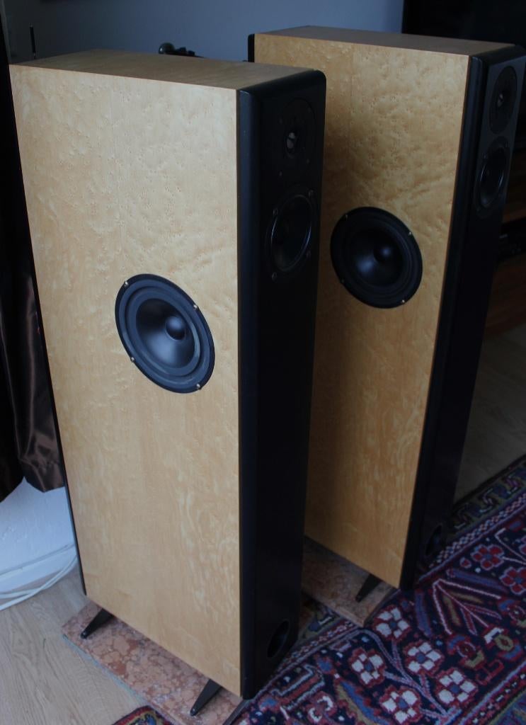 Audio Physic Virgo 1, Gebruikt, 120 watt of meer, Front, Rear of Stereo speakers, Ophalen