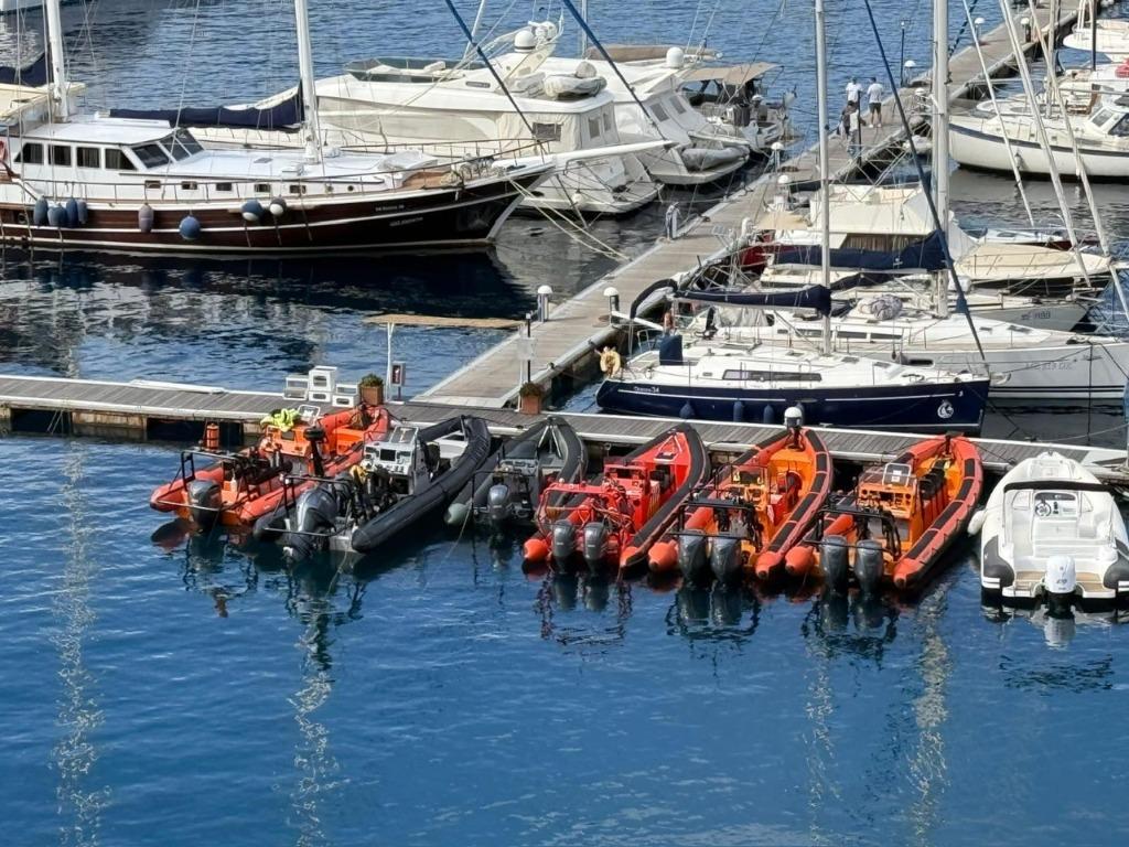 professionele ribs te huur  en te koop, Ophalen, Minder dan 10 meter, Overige typen, Meer dan 200 pk