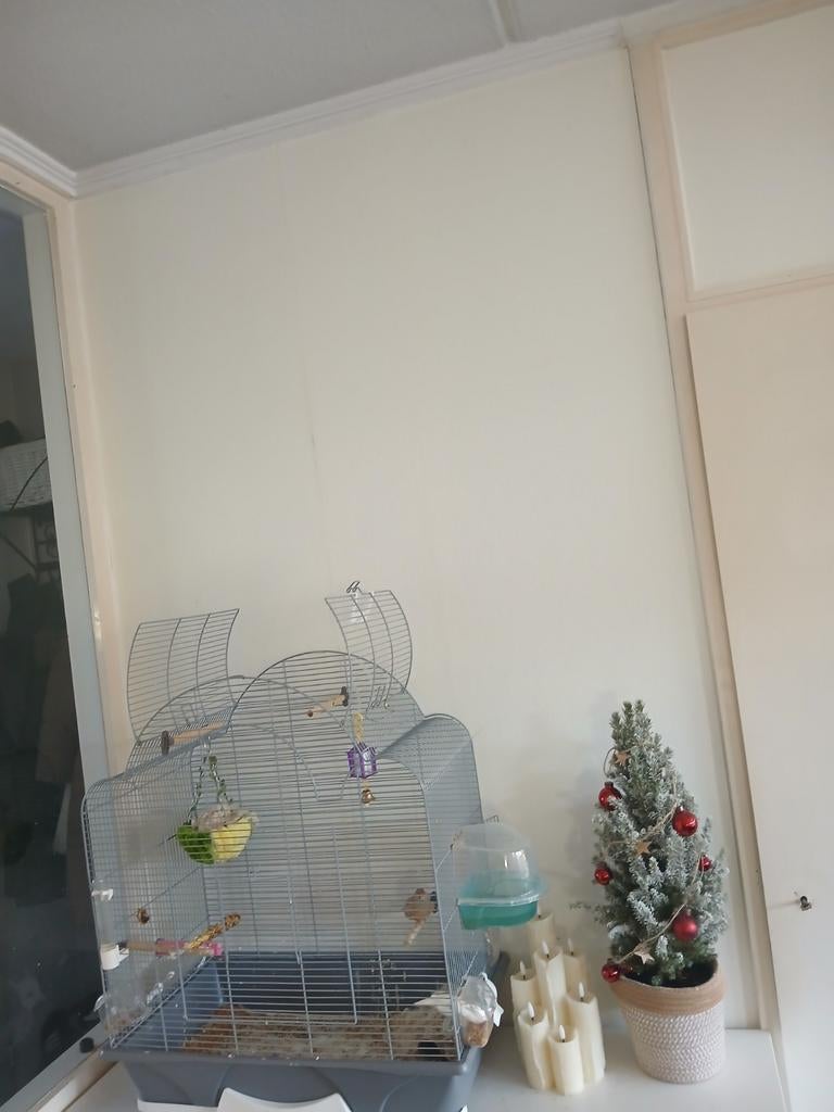 Enschede, Dieren en Toebehoren, Ophalen of Verzenden, Kooi, Minder dan 60 cm