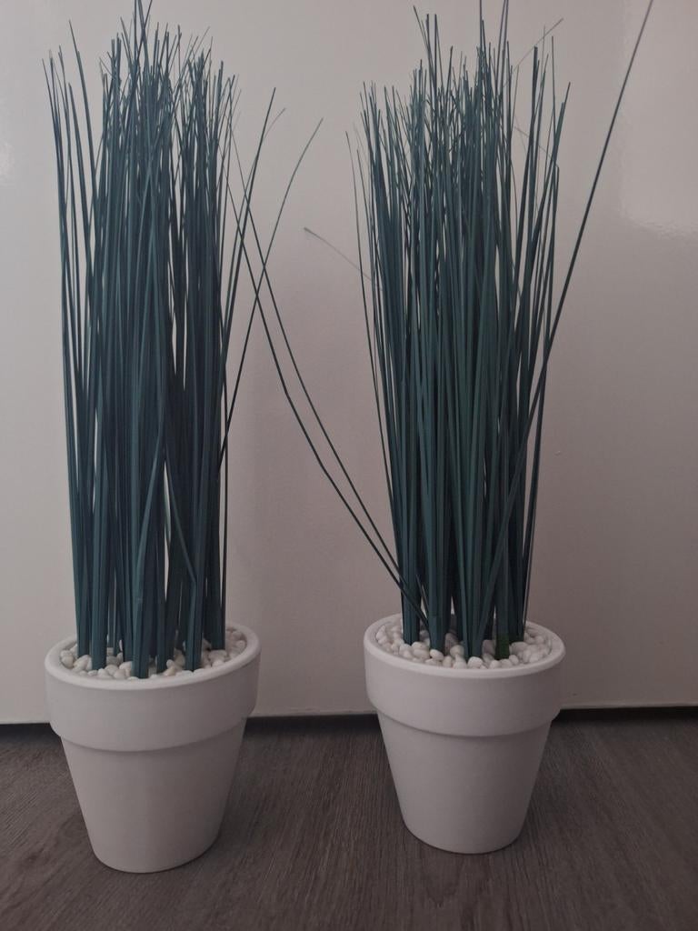 Kunst, Ophalen, Overige soorten, Volle zon