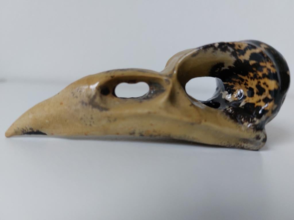 Dendriet jaspis raven schedel., Ophalen of Verzenden, Mineraal