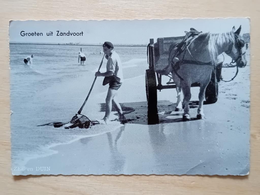 Ansichtkaart Zandvoort, Ophalen of Verzenden, Voor 1920, Noord-Holland