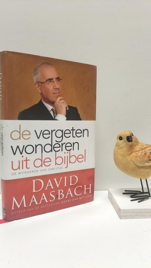 Maasbach, David; De vergeten wonderen uit de bijbel, Ophalen of Verzenden, Gelezen, Christendom | Protestants
