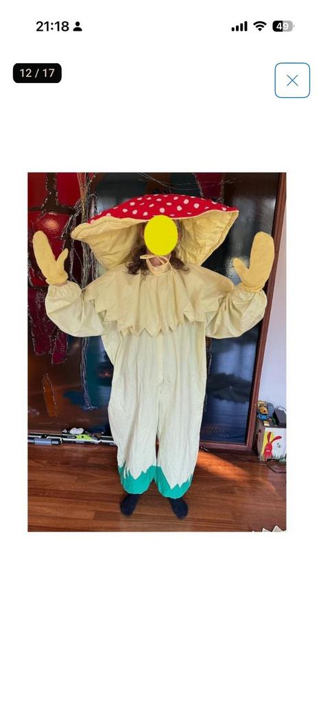 Carnaval pakken set paddestoel 4 stuks kinder en 2 volwassen, Ophalen of Verzenden, Gedragen, Maat 34 (XS) of kleiner, Carnaval