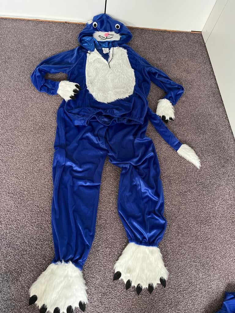 Blauw kattenpak -, Kinderen en Baby's, Carnavalskleding en Verkleedspullen, Ophalen of Verzenden, Zo goed als nieuw