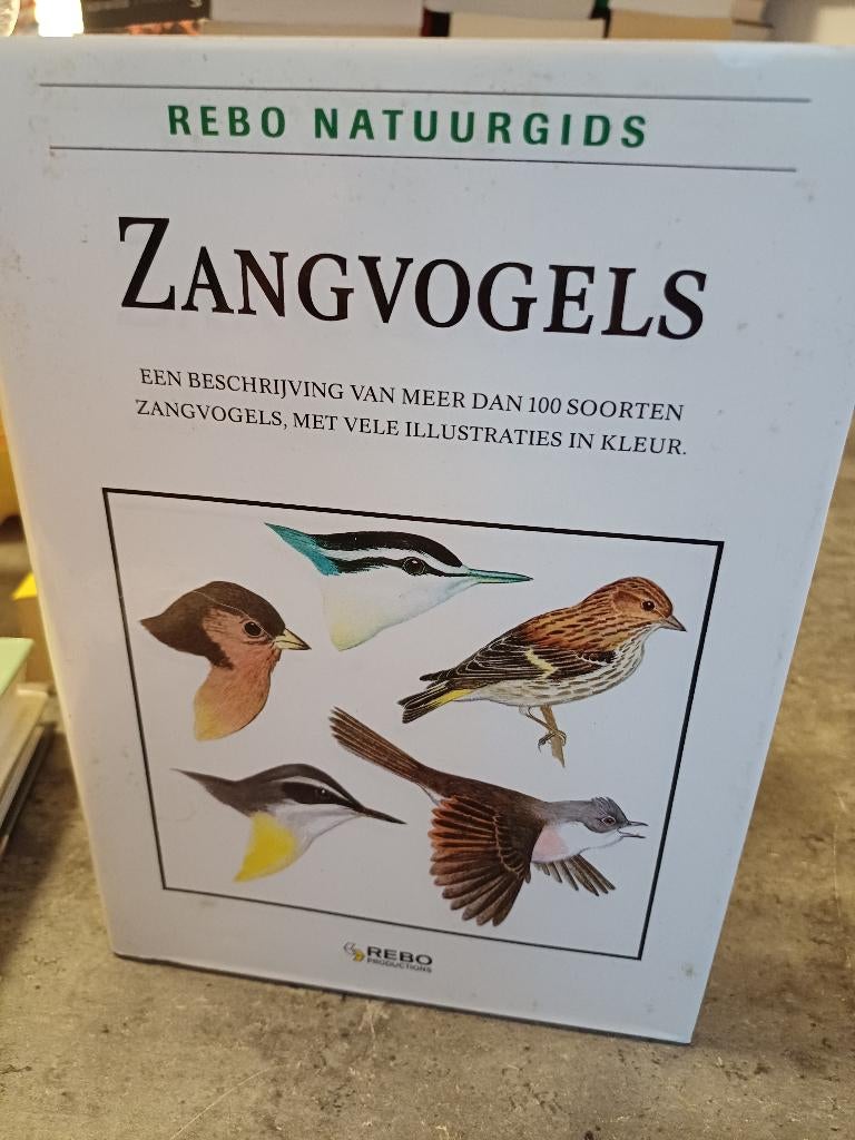 Zangvogels, Ophalen of Verzenden, Zo goed als nieuw, Paarden of Pony's
