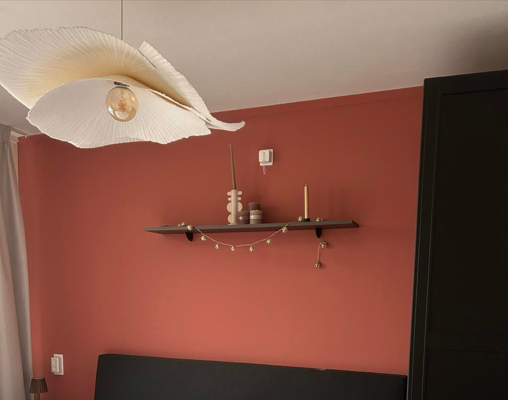 Earth rose verf 2.5 liter, Nieuw, Ophalen of Verzenden, Verf, Roze