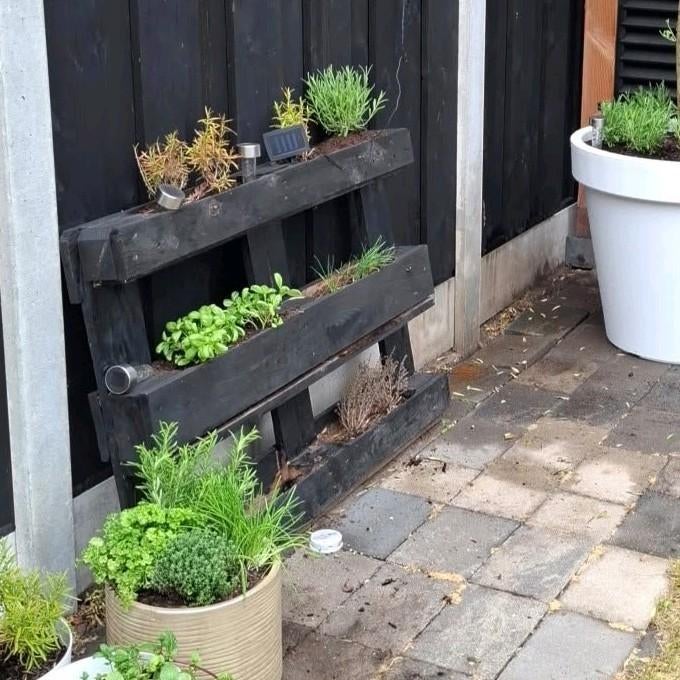 Zwarte pallet kruidentuintje, Ophalen of Verzenden