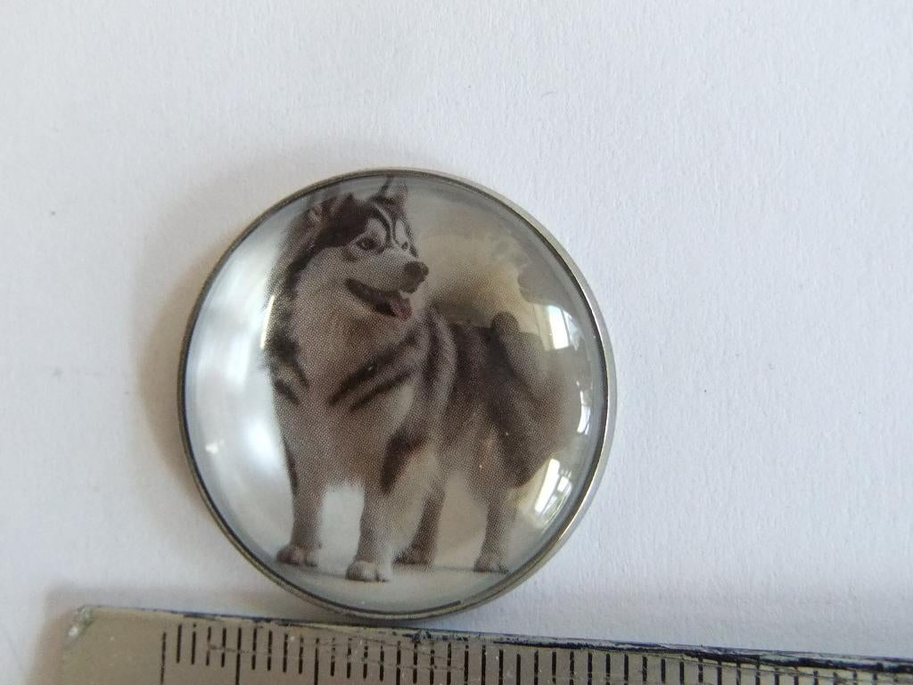 Wolf  pin(speldje)25mm, Verzenden, Nieuw, Overige onderwerpen