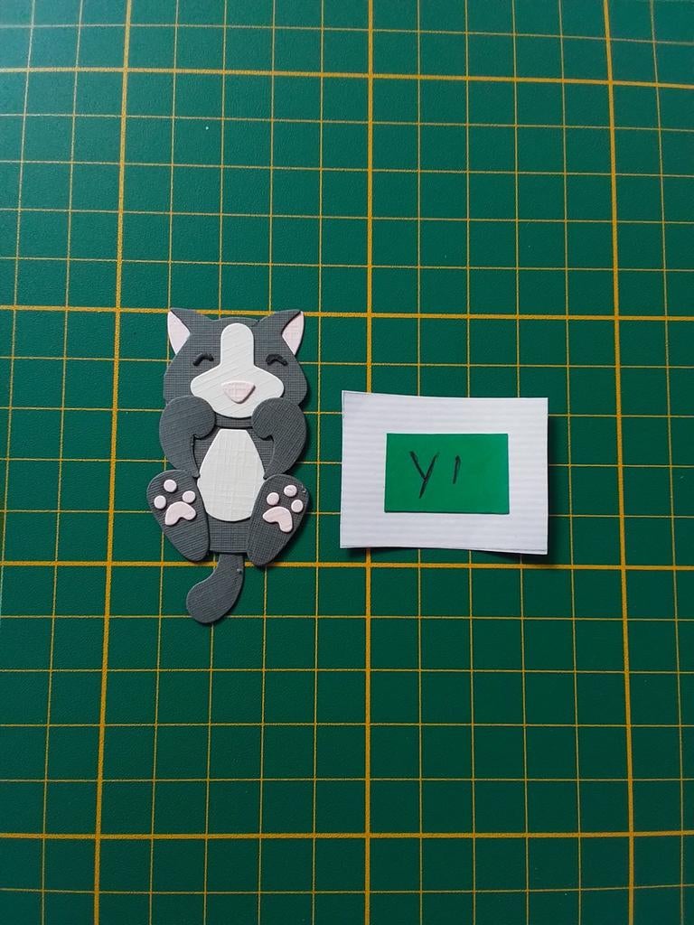 Y1 Stansjes zwarte kat, Ophalen of Verzenden, Nieuw, Kerst, Overige typen