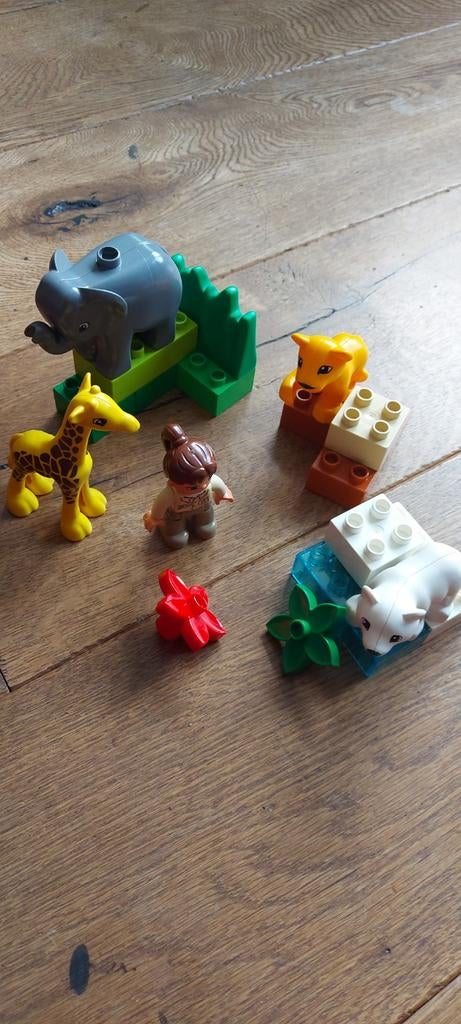 Duplo 4962 Dieren set - Rookvrij, Ophalen of Verzenden, Zo goed als nieuw, Compleet, Duplo