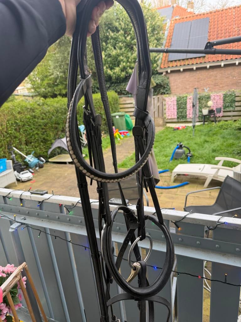 Anky hoofdstel maat full, Dieren en Toebehoren, Paarden en Pony's | Hoofdstellen en Tuigage, Ophalen of Verzenden, Gebruikt, Dressuur