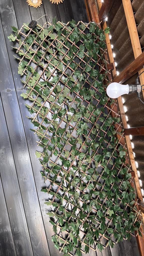 Sier groen voor schutting in tuin, Ophalen of Verzenden, Zo goed als nieuw, Hout, Minder dan 3 meter