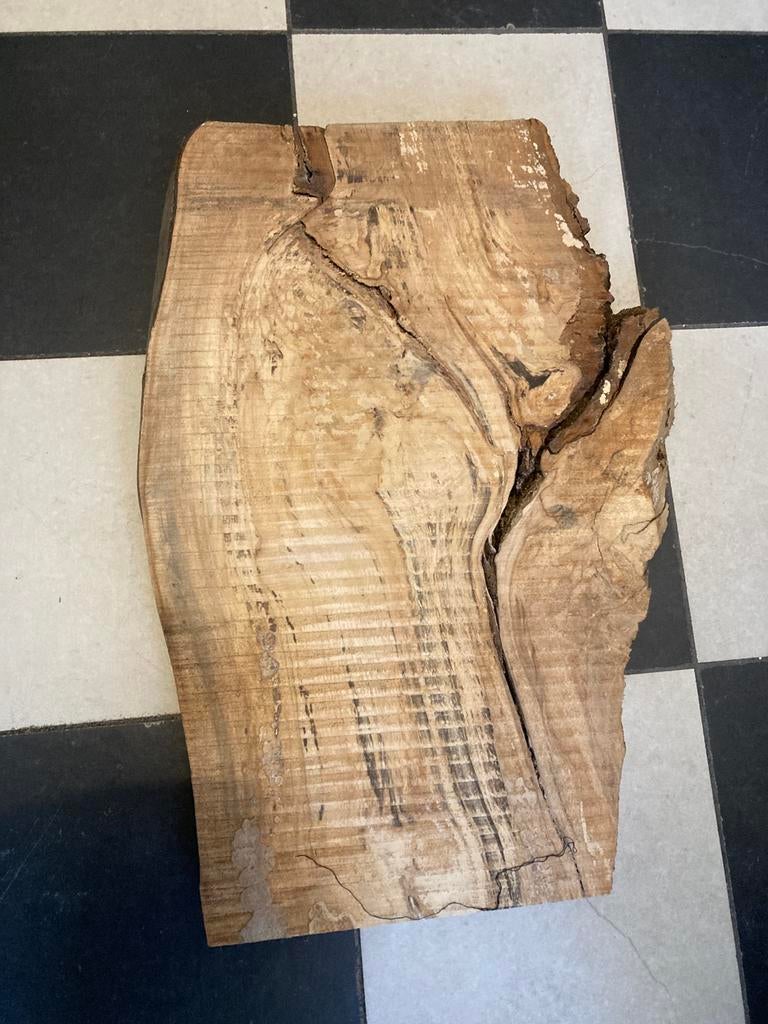Mooi stuk boomstam, Minder dan 25 mm, Ophalen of Verzenden, Zo goed als nieuw, Plank