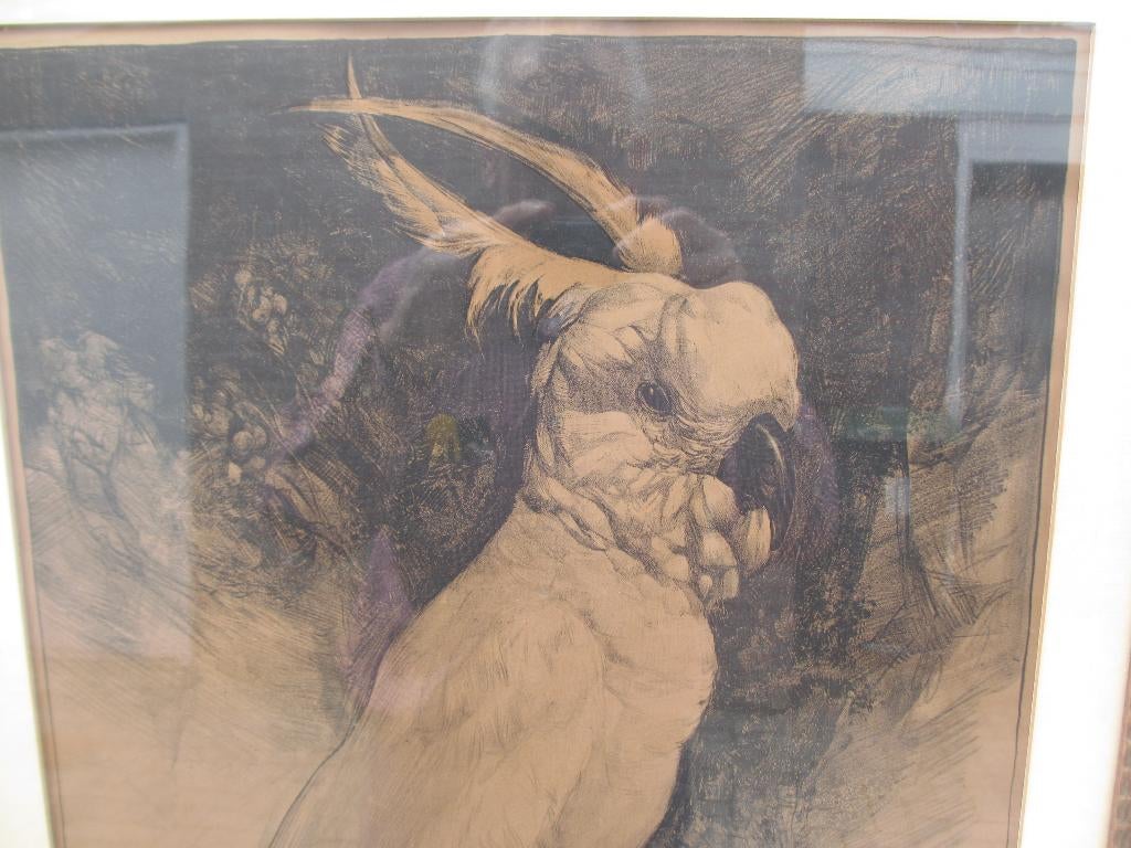 Litho KAKETOE Adriaan van 't Hoff 1923, Ophalen of Verzenden