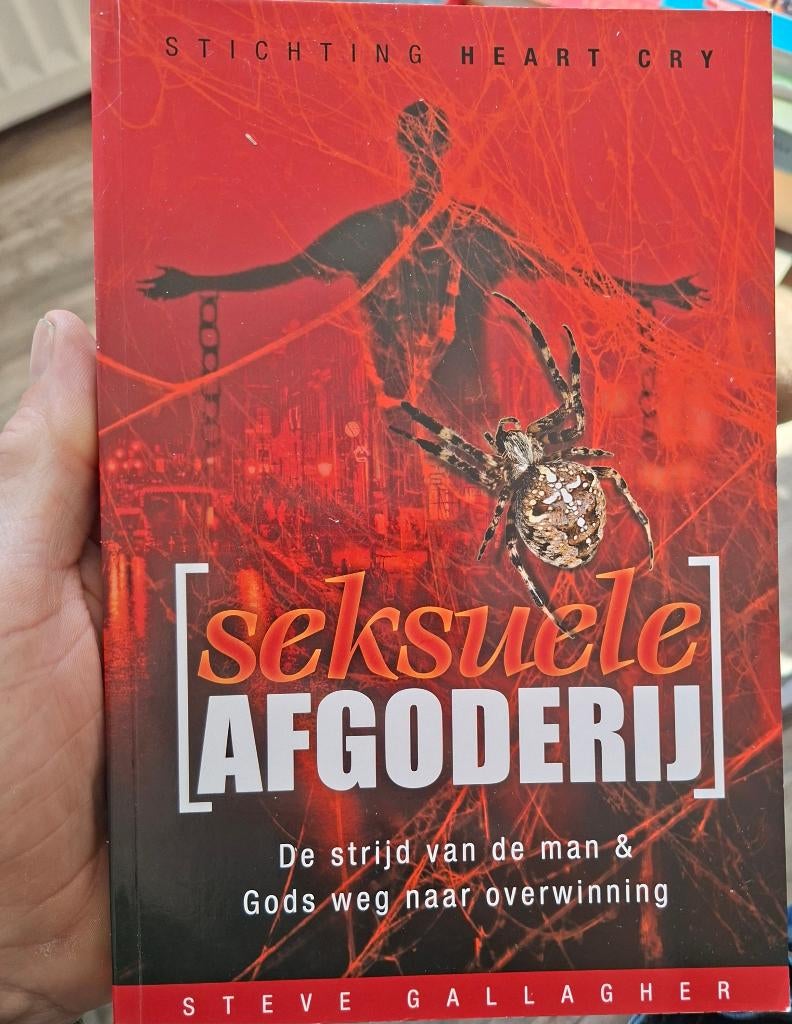 Seksuele Afgoderij ( isbn: 9789079465293), Achtergrond en Informatie, Spiritualiteit algemeen, Ophalen of Verzenden, Zo goed als nieuw