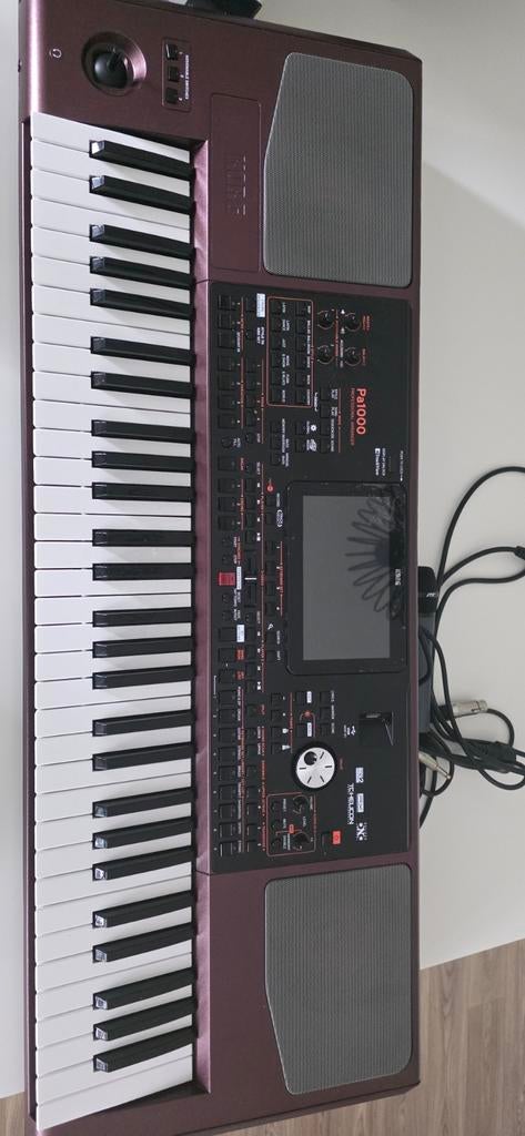 Korg Pa1000 Professional Arranger Keyboard, Ophalen of Verzenden
