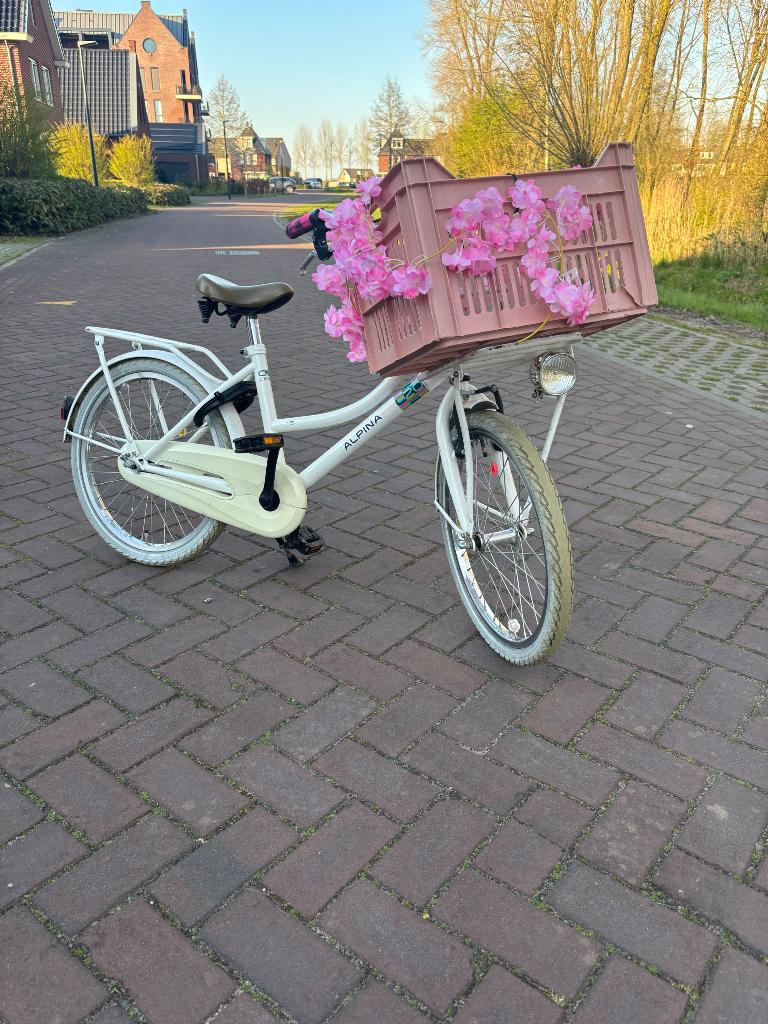 Kinderfiets 20 inch, Ophalen of Verzenden, Gebruikt, 20 inch of meer, Alpina