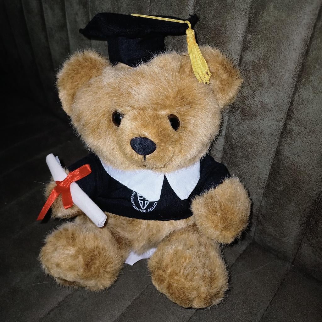 Geslaagd beer, professor beertje, engelse opdrujk., Ophalen of Verzenden, Zo goed als nieuw, Beer