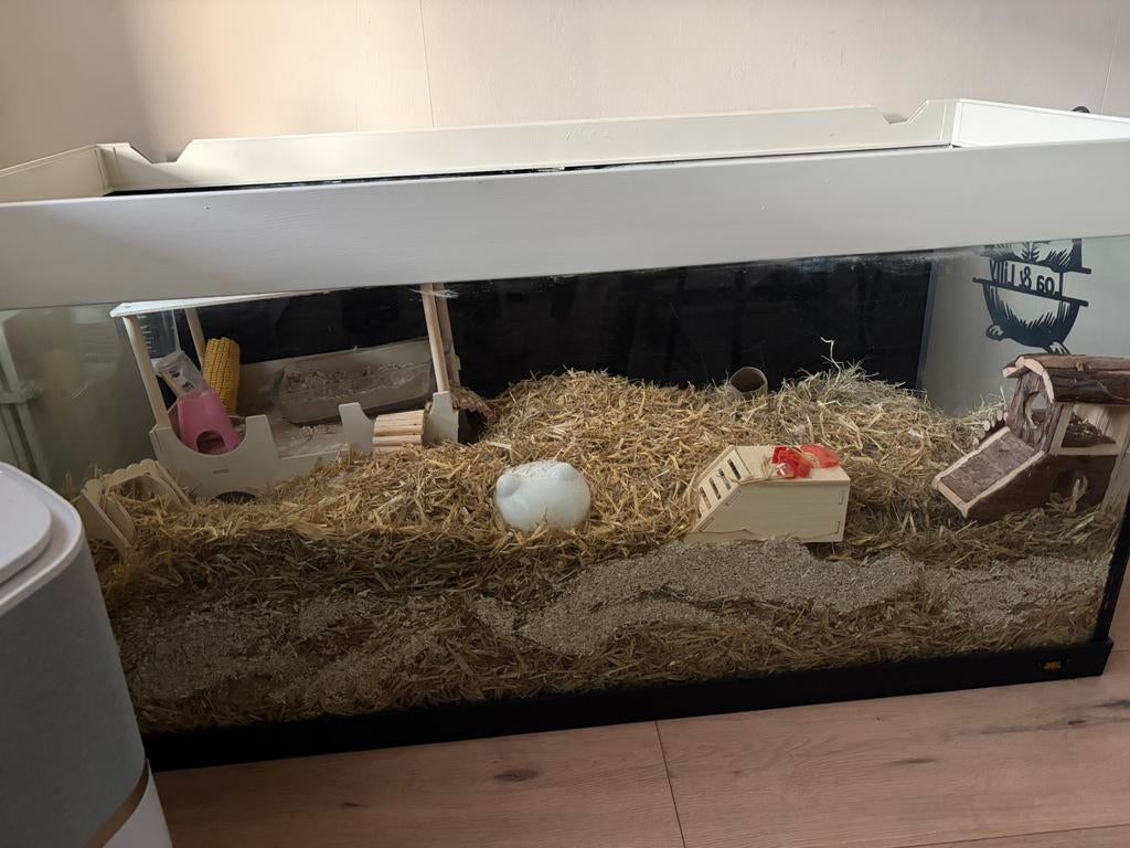 XXL TERRARIUM KNAAGDIEREN, Kooi, Zo goed als nieuw, Hamster, 75 tot 110 cm