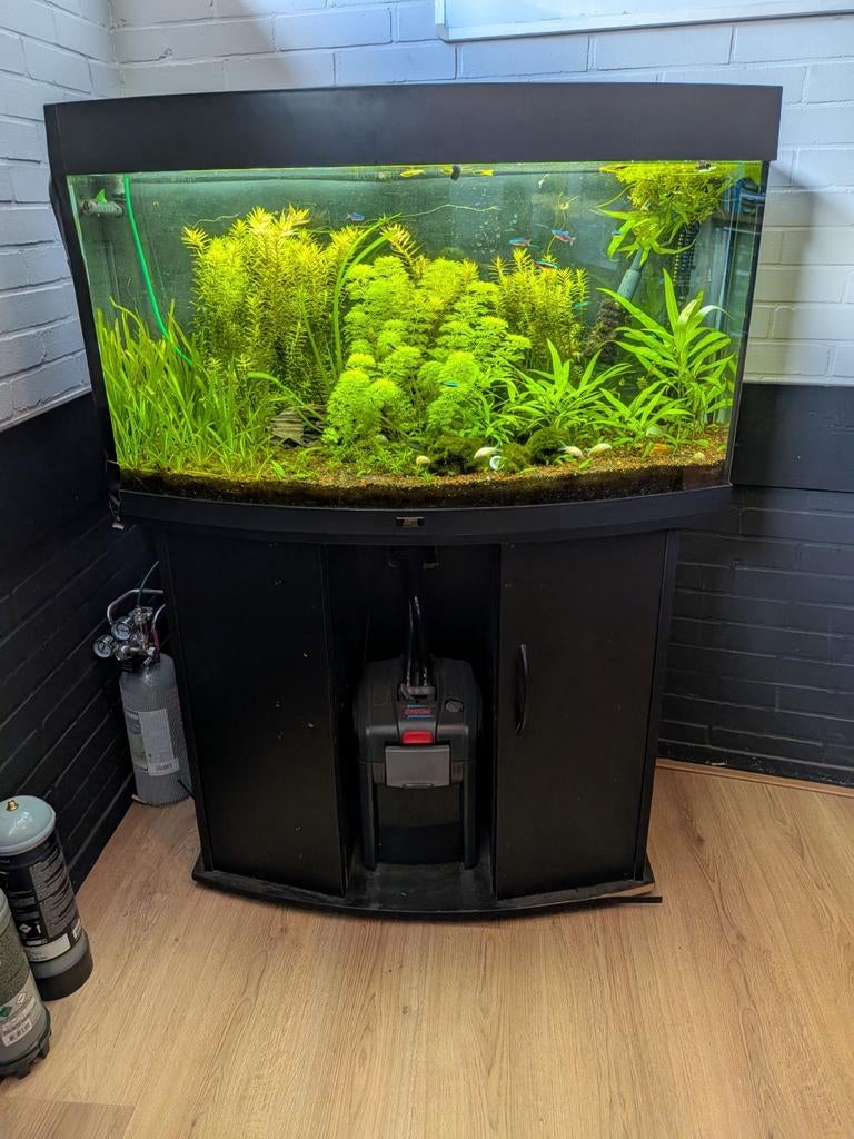 Juwel 180 vision aquarium  incl meubel, pomp en filter, Ophalen, Leeg aquarium