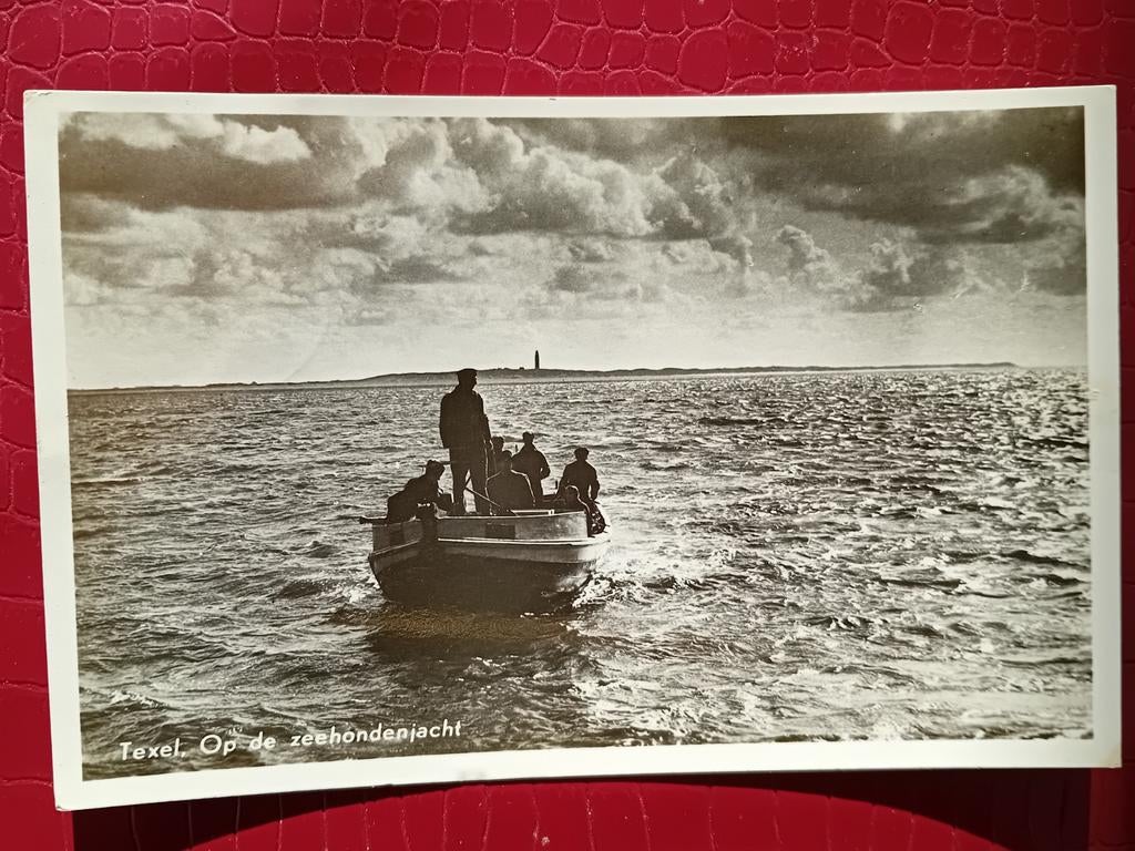 Ansichtkaart Texel, Ophalen of Verzenden, Waddeneilanden