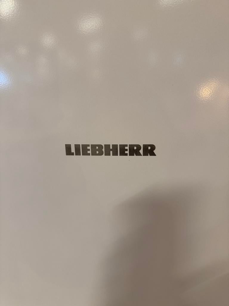 Liebherr 2831 - Koel-vries Br 55cm hoogte 161.2 cm  266 l, Ophalen, 200 liter of meer, Met aparte vriezer, 160 cm of meer