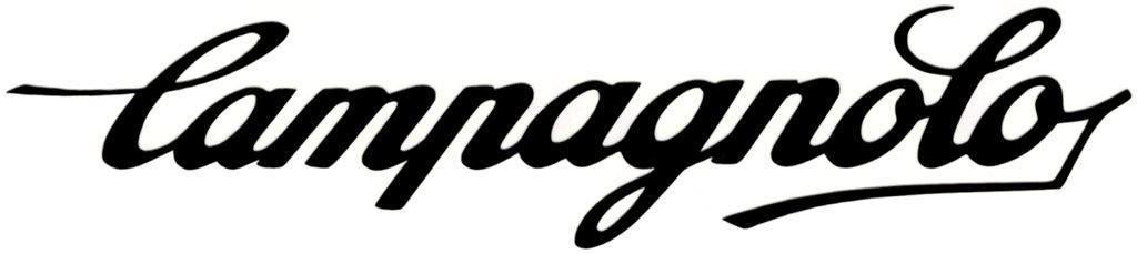 Campagnolo sticker #1, Ophalen of Verzenden
