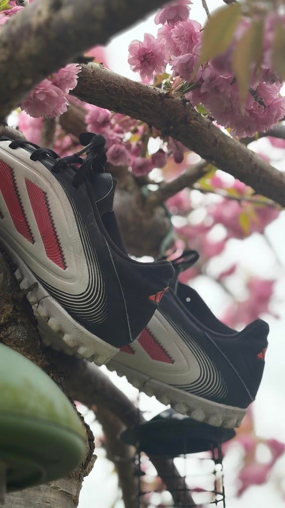 Adidas Korfbal Schoenen, Sport en Fitness, Korfbal, Ophalen, Gebruikt, Schoenen