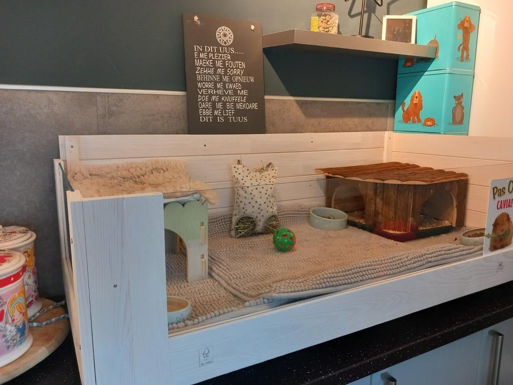 Nieuw ferplast cavia hok, Ophalen