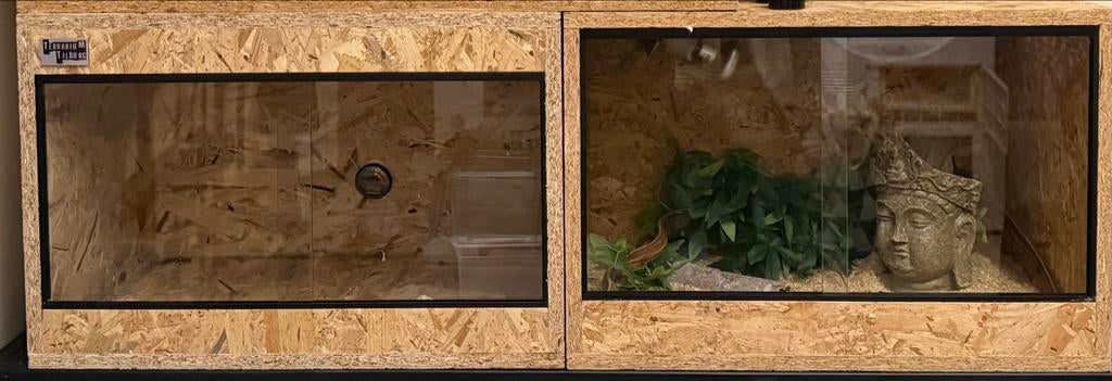 2 terrariums 60x40x40, Ophalen, Zo goed als nieuw, Terrarium of Paludarium