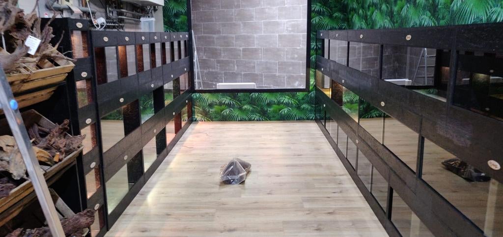 Osb3 terrarium RepHouSZ. Ook maatwerk, Ophalen, Nieuw, Terrarium of Paludarium