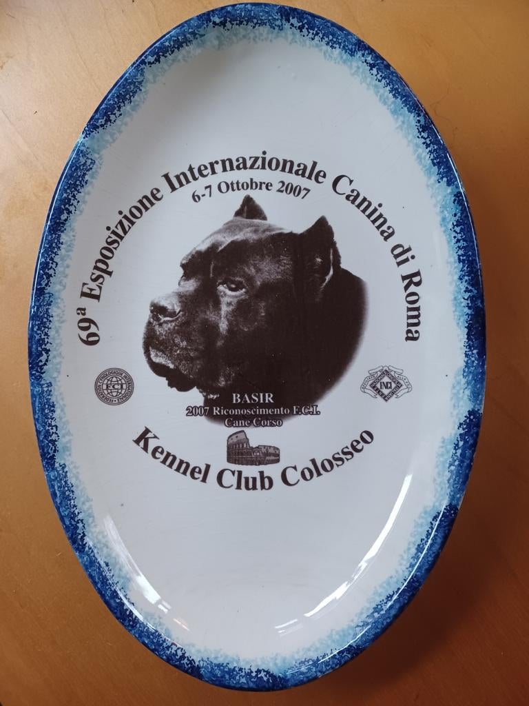 Cane Corso Italiano, Verzenden, Gebruikt