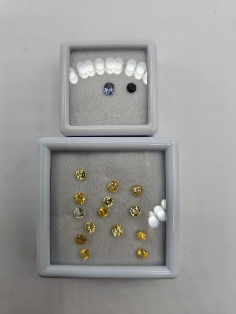 Saffieren Collectie, Ophalen of Verzenden, Nieuw