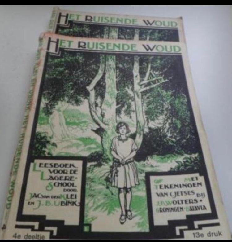 Het ruisende woud, 4e deeltje 13e druk, Boeken, Ophalen of Verzenden, Zo goed als nieuw, Fictie algemeen