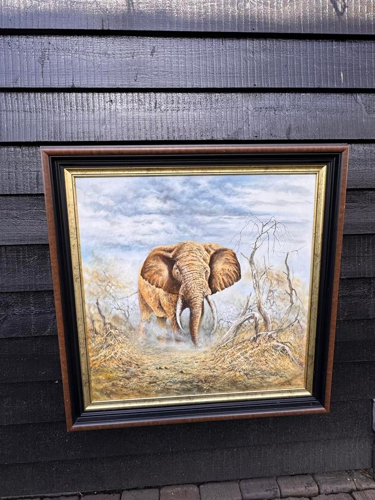 Olieverfschilderij Conny de Jongh - Olifant, Antiek en Kunst, Kunst | Schilderijen | Klassiek, Ophalen of Verzenden