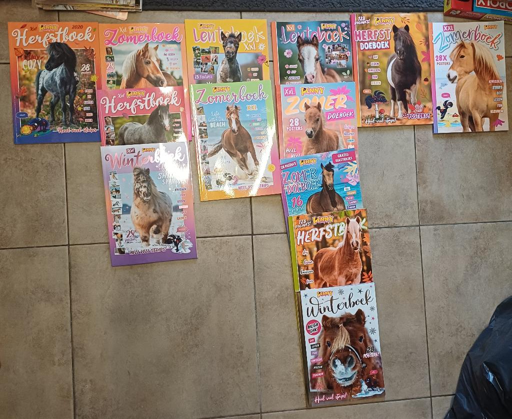 Penny lente, zomer, herfst en winter boeken/doeboeken, Ophalen of Verzenden, Zo goed als nieuw, Overige typen