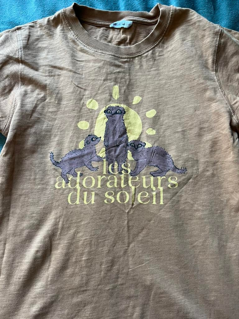 Leuk shirt van Ammehoela 140/152, Ophalen of Verzenden, Zo goed als nieuw, Meisje, Shirt of Longsleeve