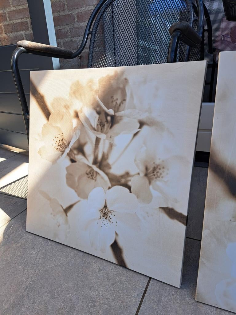 Drieluik schilderij op canvas, Ophalen, Zo goed als nieuw, Minder dan 100 cm, Rechthoekig